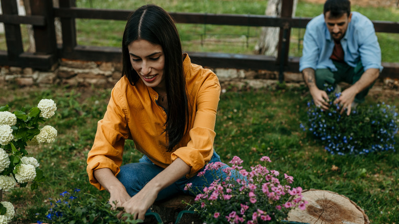 Couple working in the garden together, hydrangea and other potted plants nearby