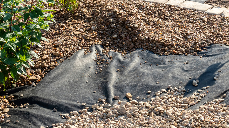 Gravel on landscaping fabric