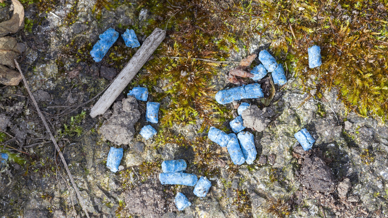 Iron phosphate pellets scattered on the ground