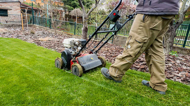 A person mowing their lawn with a push mower alongside a mulched edge