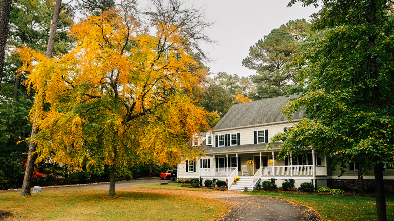 A colonial house with large trees in its yard