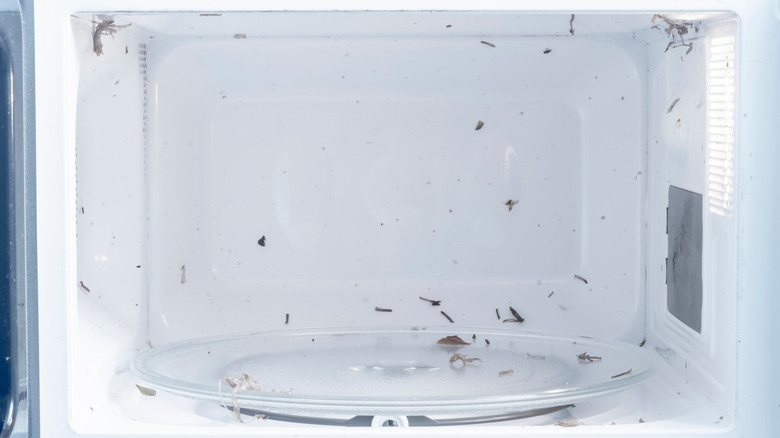 A white microwave opened up with dirt and grime inside