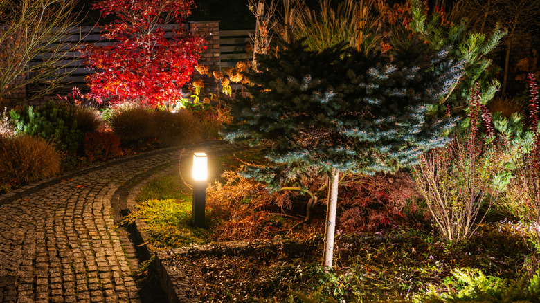 A garden path at night with a light illuminating the path.