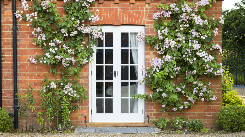 An outdoor view of white French doors on a brick exterior
