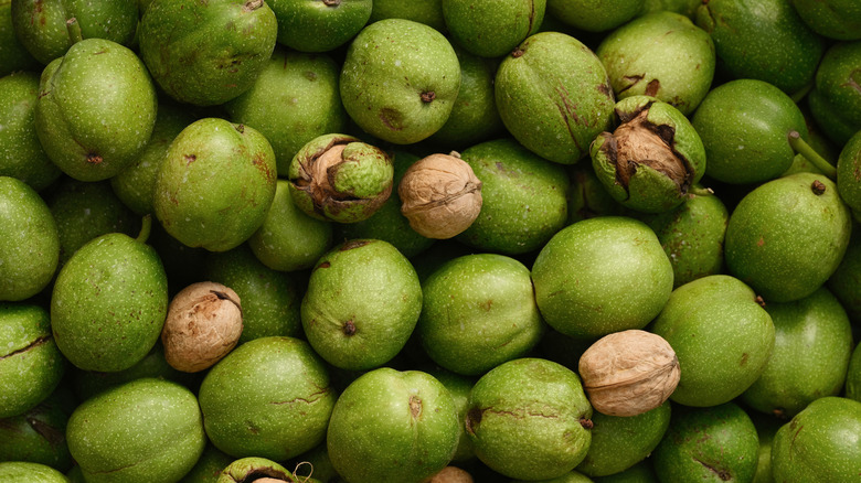 close up of walnut husks and walnut shells