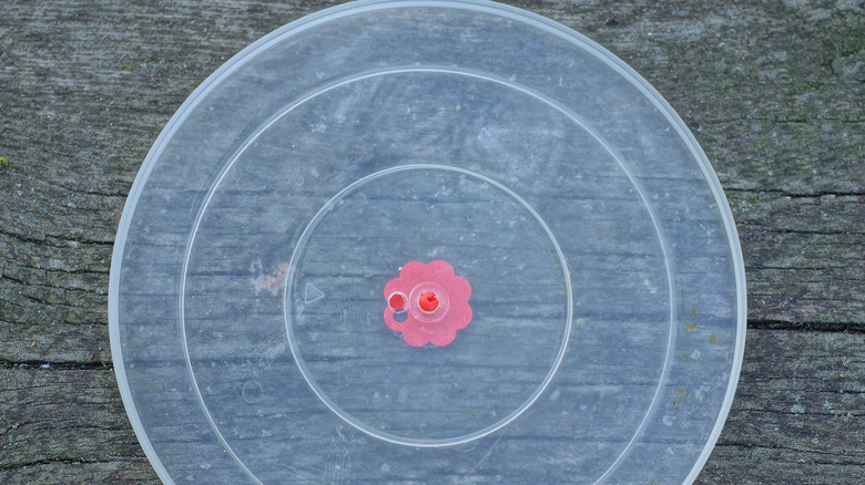 A clear round plastic lid with a single pink flower design in the center