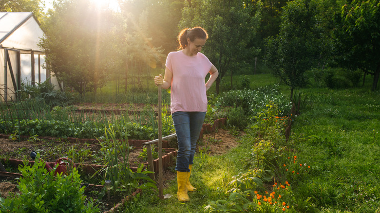 A person contemplates their traditional garden layout while leaning on a wooden pole.