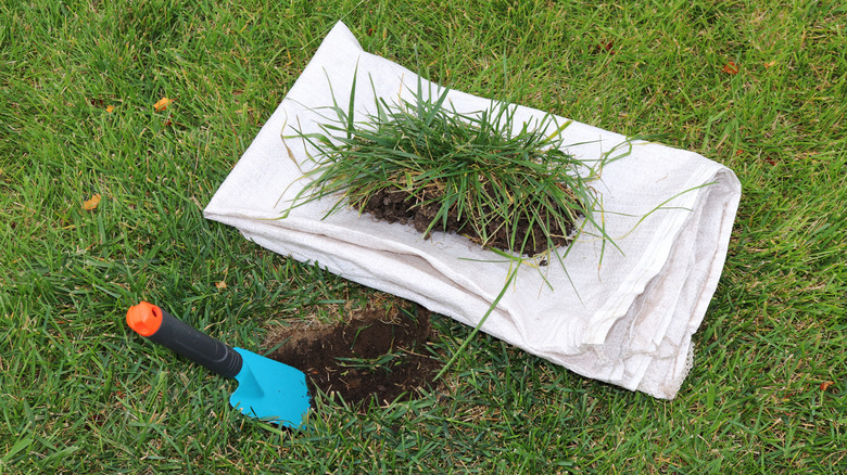 a folded drop cloth with a sod of turf sitting on it next to a freshly dug hole and trowel