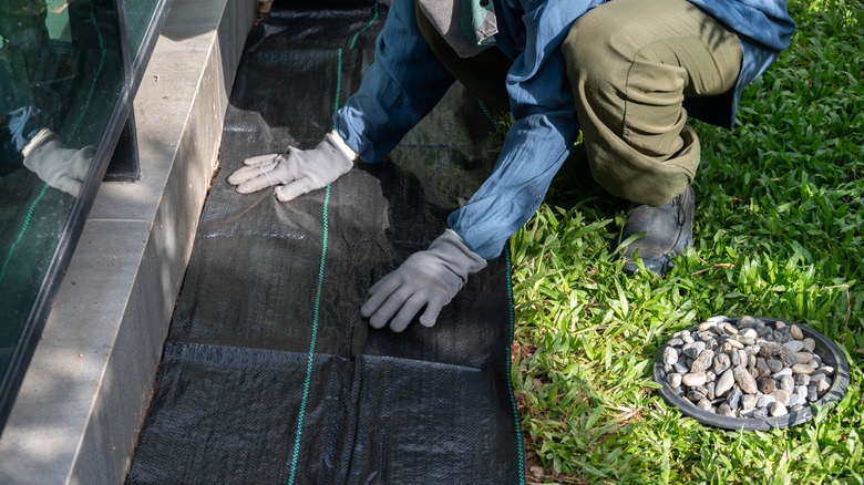 a gardener laying down landscape fabric