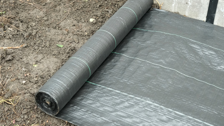 installing landscape fabric over soil