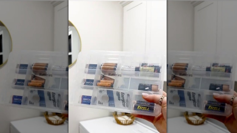 Hand holding up a clear plastic case used to sort and store batteries.