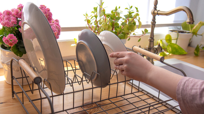 person putting plate on rack