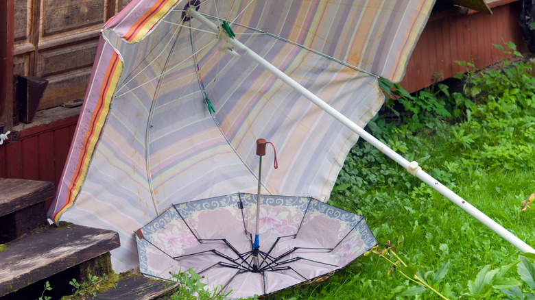 broken green umbrella on road