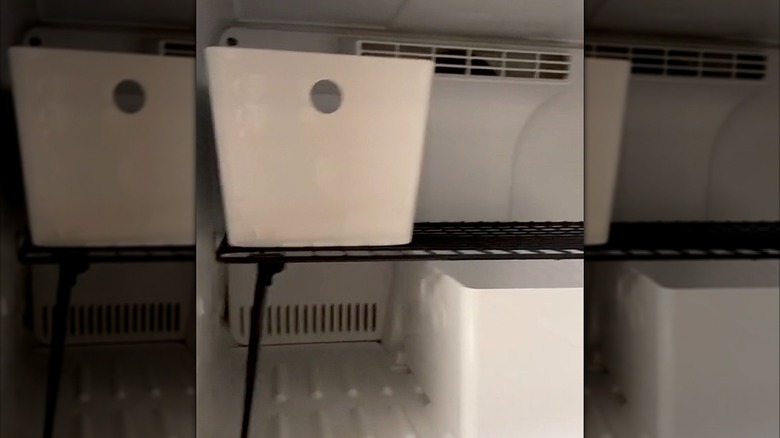 Shoe rack in freezer