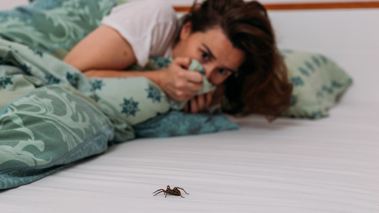 Woman hiding from spider in the bed