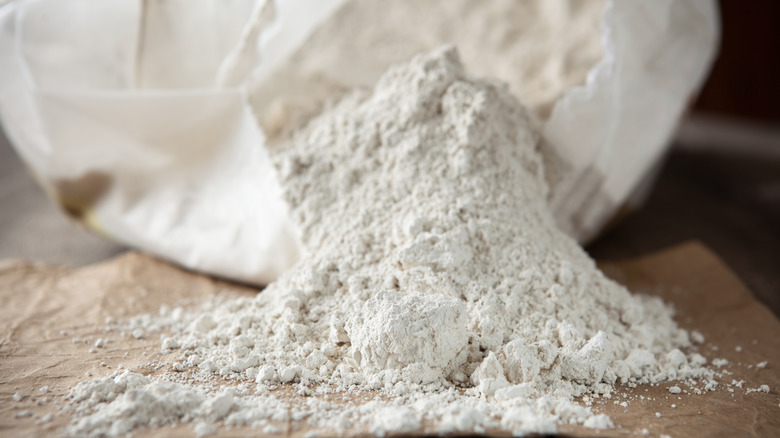 bag of diatomaceous earth