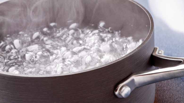 boiling water on a stove