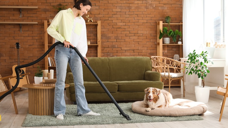 A woman vacuums a large, plush rug under a dog bed in a living room