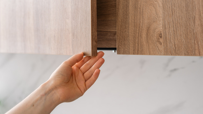 Person opens cabinet door.
