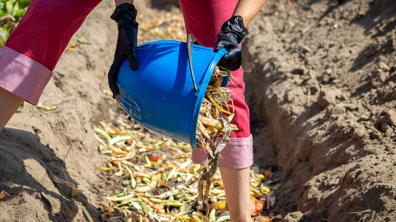 A young woman pours organic waste from a plastic bucket into a compost pit.