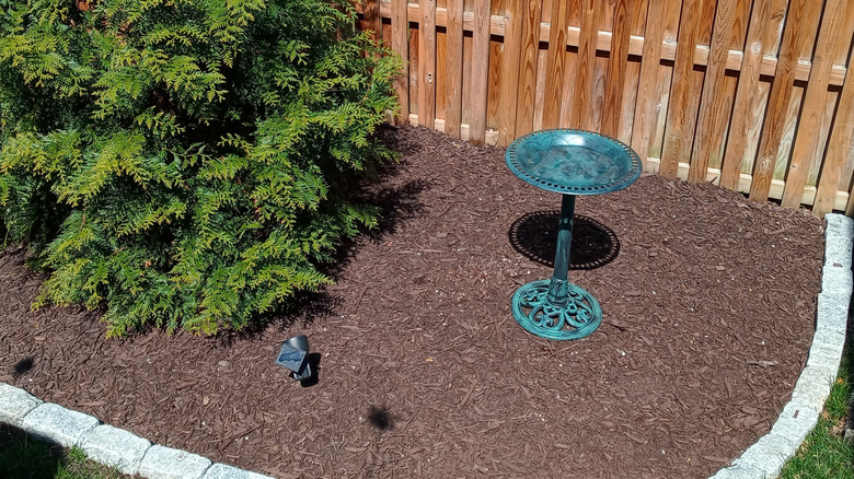 KKY's 28-inch Retro Resin Bird Bath in a garden border