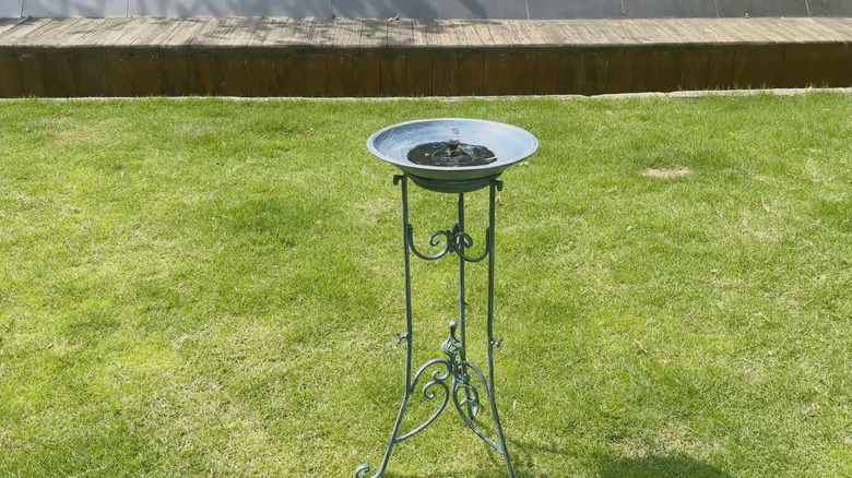 SMQLJXC's Multifunctional Solar Bird Bath on a green lawn