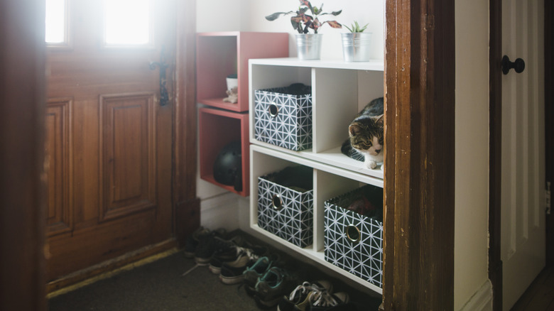 Floating cubbies near a front door