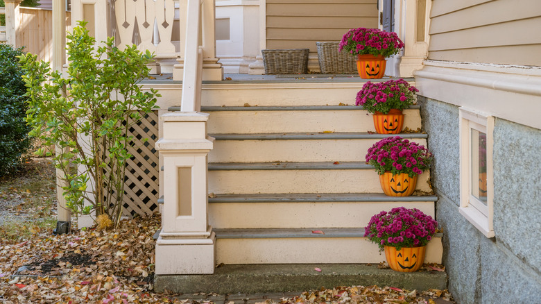Porch steps with potted chrysanthemums