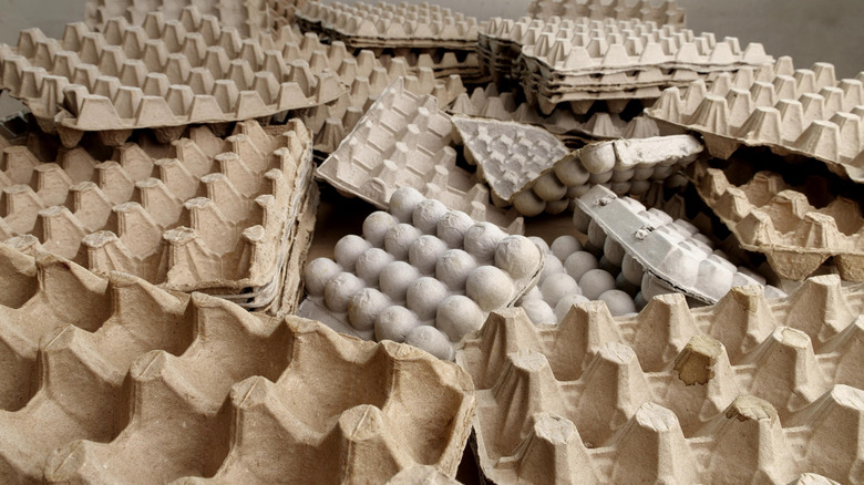 Cardboard egg cartons.