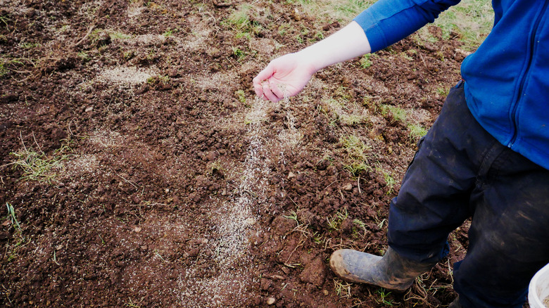 person sowing seeds by hand