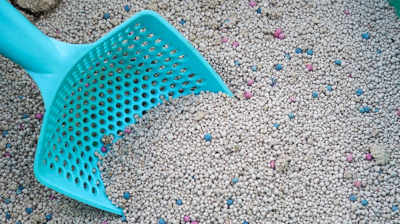 scoop in bag of litter