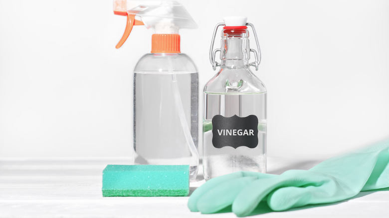 White vinegar with cleaning supplies