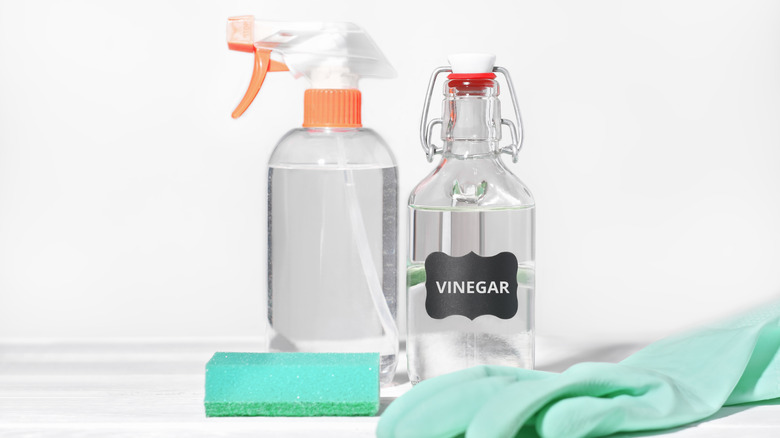 cleaning supplies including sponge, gloves, and a bottle of vinegar