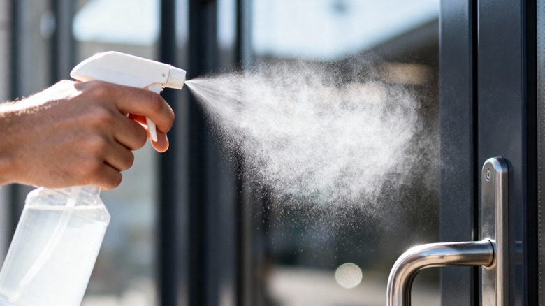 Spraying Your Front Door With Vinegar: A Waste Of Time Or Smart—What We Know