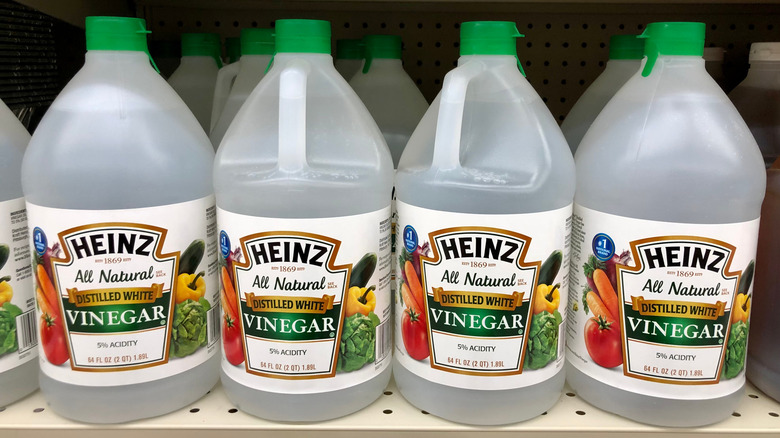 Bottles of distilled white vinegar on a shelf in a store