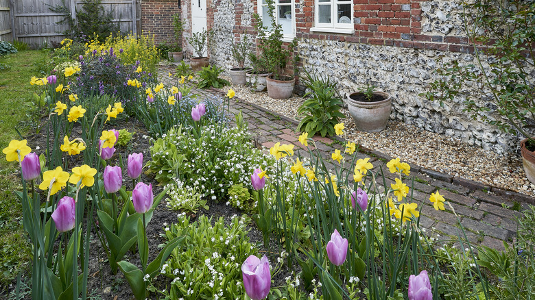English cottage garden in spring