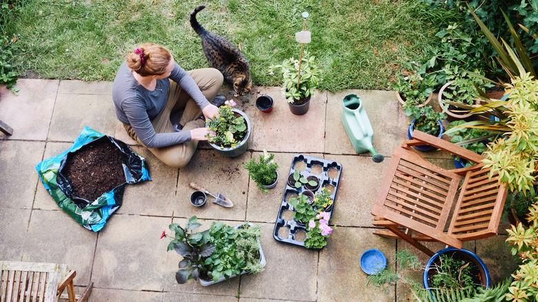 Overhead shot of woman sitting on a patio planting something