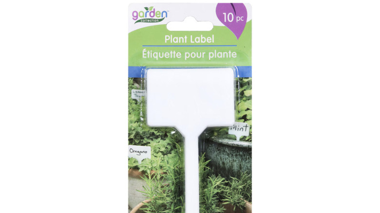 10-pack of plastic plant labels against a white background