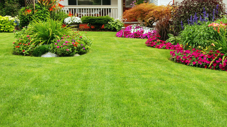 House with green lawn 