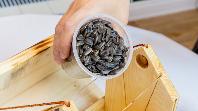 A person holds a plastic cup of sunflower seeds that they're about to pour into a wooden handing bird feeder.
