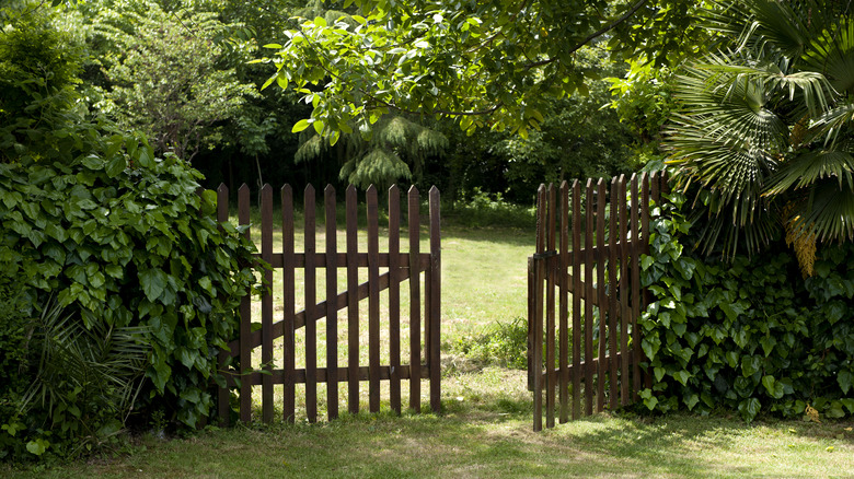 Gate in yard