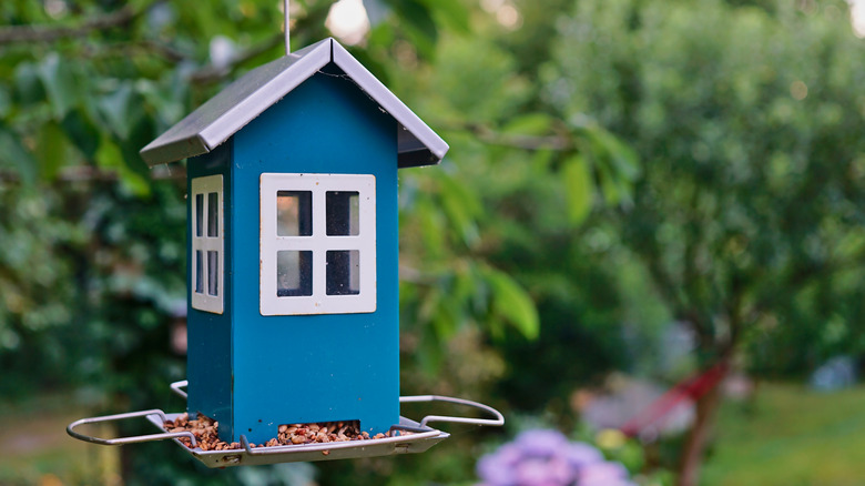 Cute blue house-shaped bird feeder with a tray full of seeds