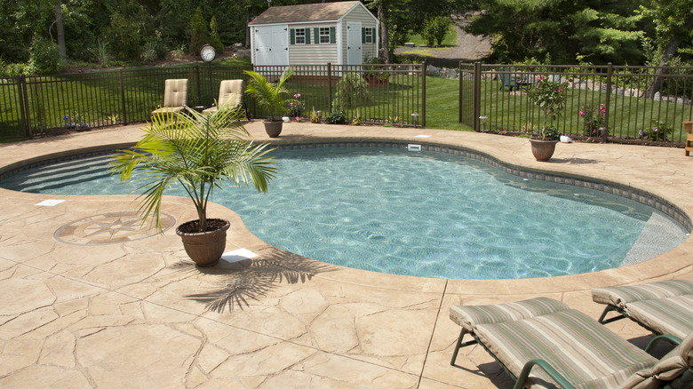 Backyard pool with stamped concrete and potted palm trees.