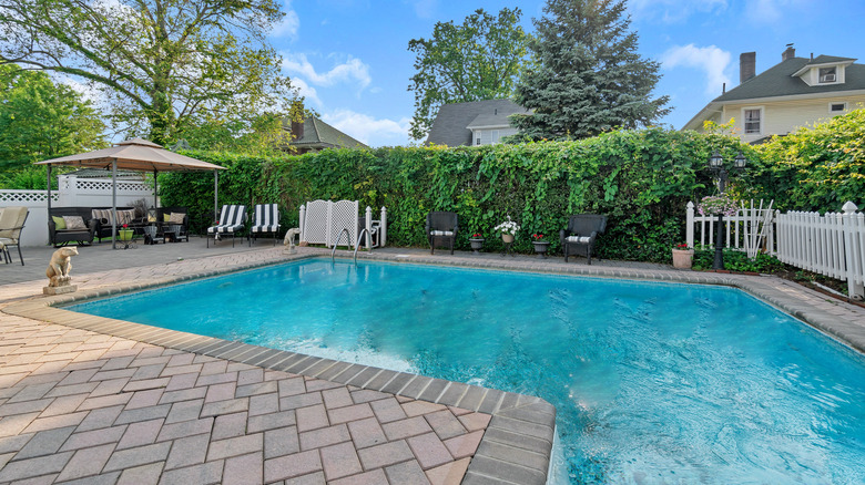 Backyard pool with pavers