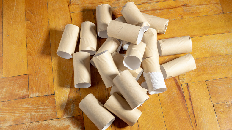 Pile of toilet paper tubes