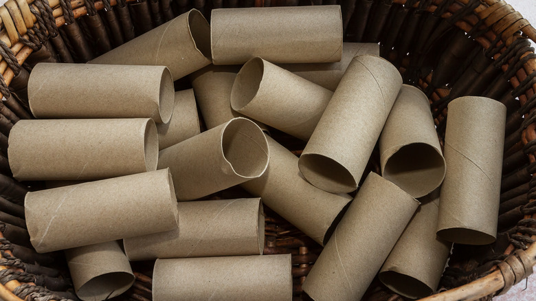 Start Burying Toilet Paper Cardboard Tubes In Your Garden And Watch It  Thrive