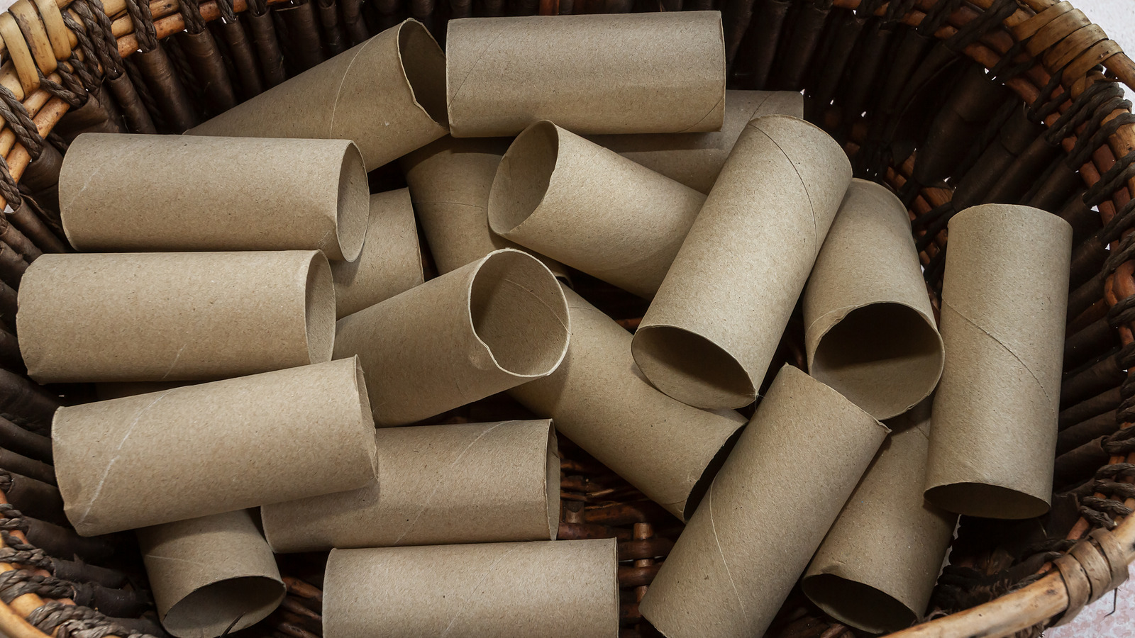 Start Burying Toilet Paper Cardboard Tubes In Your Garden And