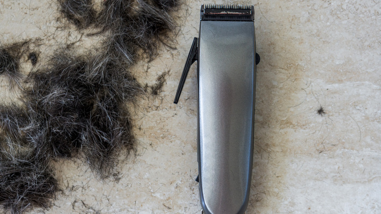 Start Waging Your War On Groundhogs With This Hairy Solution