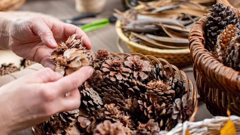 A person's hands sort through a pile of pinecones