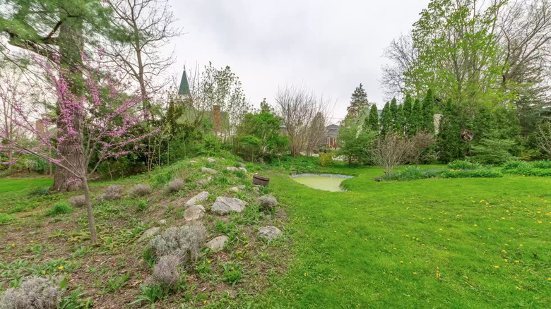 Backyard of Michigan mansion